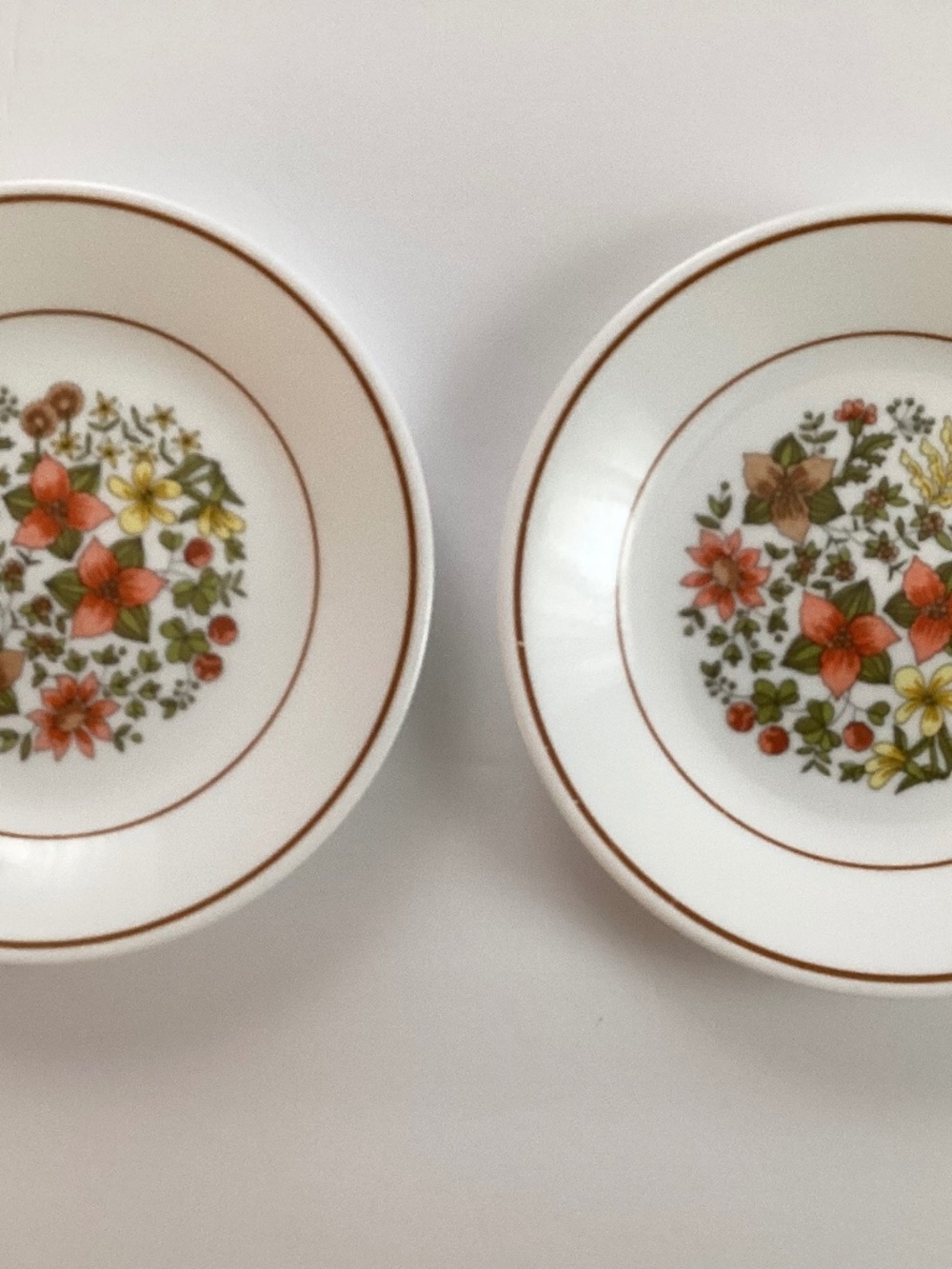 Corelle (Corning) Indian Summer (2) bread and Butter Plates